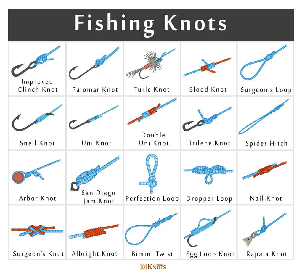 All you need to know about basic fishing line knots 