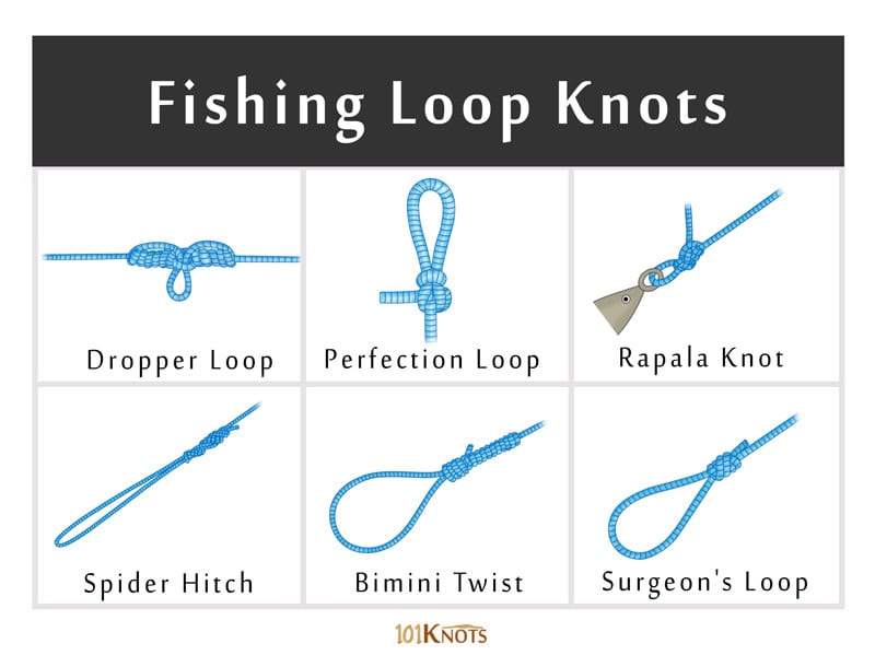 ReferenceReady Easiest Fishing Knots - Waterproof Guide to 12 Simple Fishing  Knots, How to Tie Practical Fishing Knots & Includes Mini Carabiner