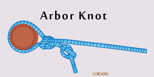 How to Tie an Arbor Knot? Variations, Steps, Video & Uses