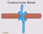 Constrictor Knot