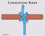 Constrictor Knot