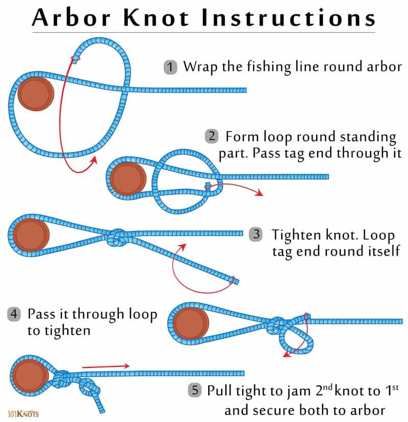 How to Tie an Arbor Knot