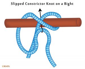 Slipped Constrictor Knot on a Bight