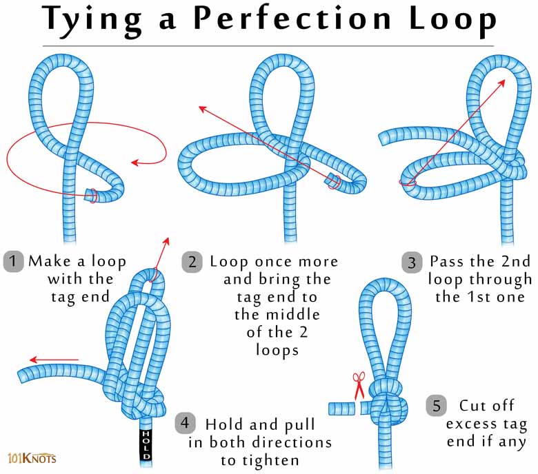 How to Tie a Perfection Loop