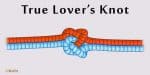 True Lover's Knot