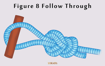 How to Tie a Figure 8 Follow Through? Tips, Uses, Steps & Video