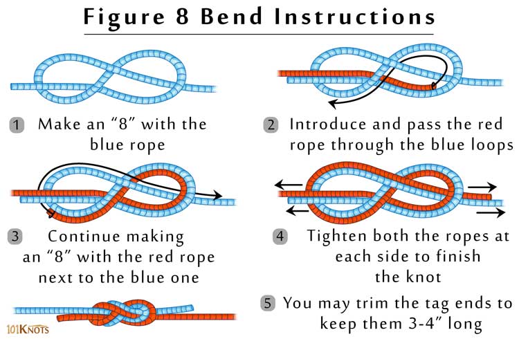 How to tie a figure-of-eight loop fishing knot