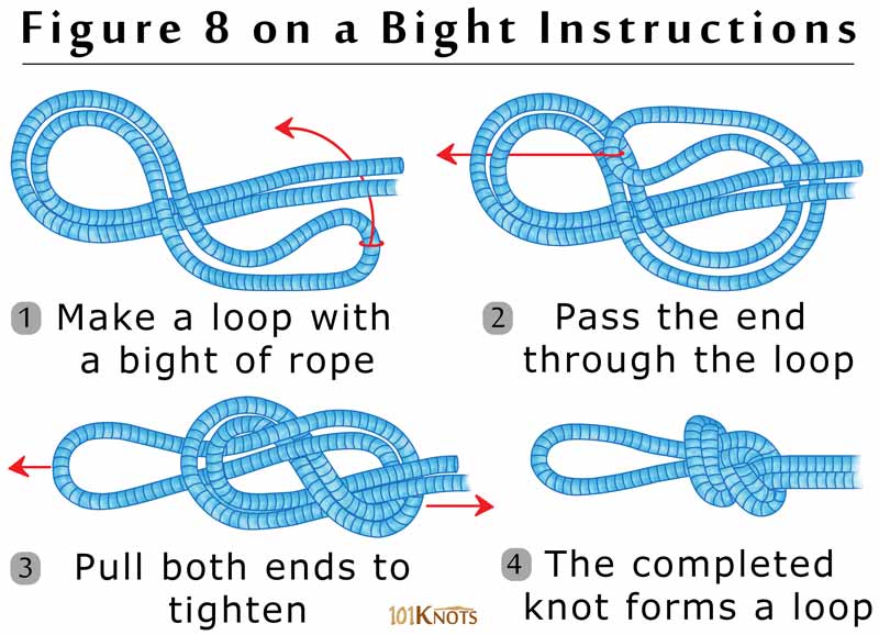 Figure 8 on a Bight Knot Instructions