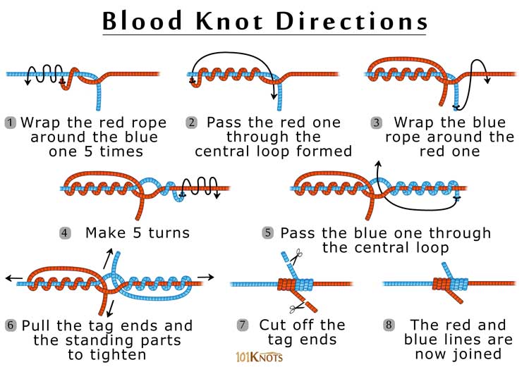 How to tie the half blood knot