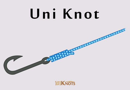 How to Tie a Uni Knot? Tips, Video & Easy Step-by-Step Guide