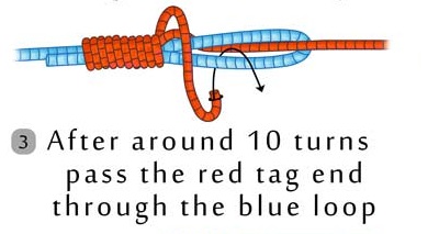 How to Tie an Albright Knot? Tips, Variations, Uses & Video Guide