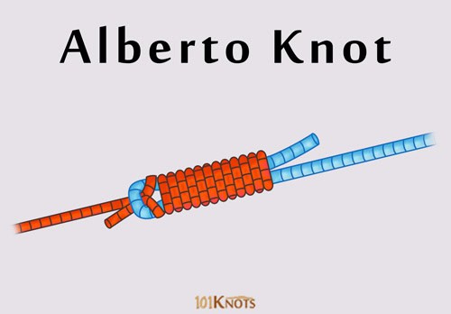 How to tie the Alberto knot