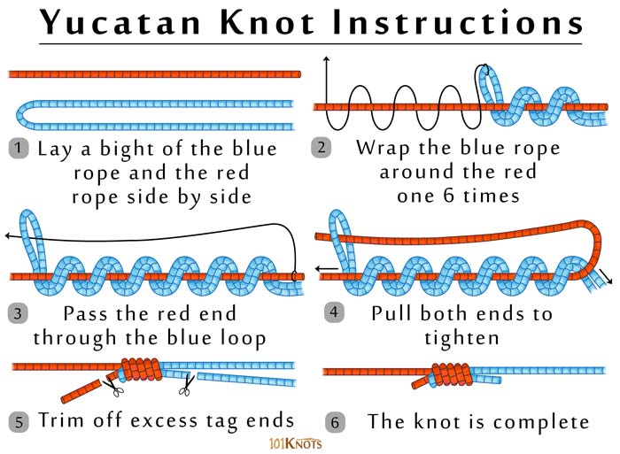 Yucatan Knot 101knots