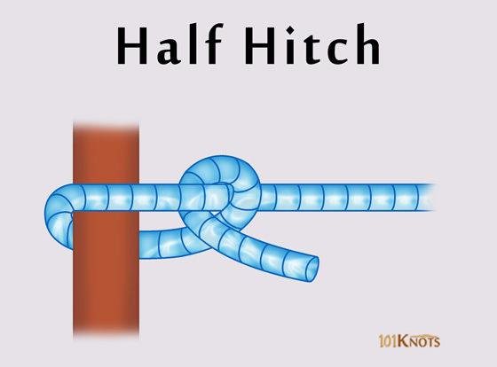 Image result for half hitch knot