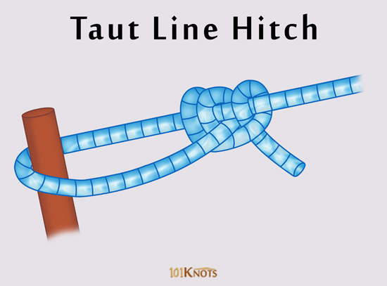 How to Tie a Taut Line Hitch? Tips, Steps & Video Instructions