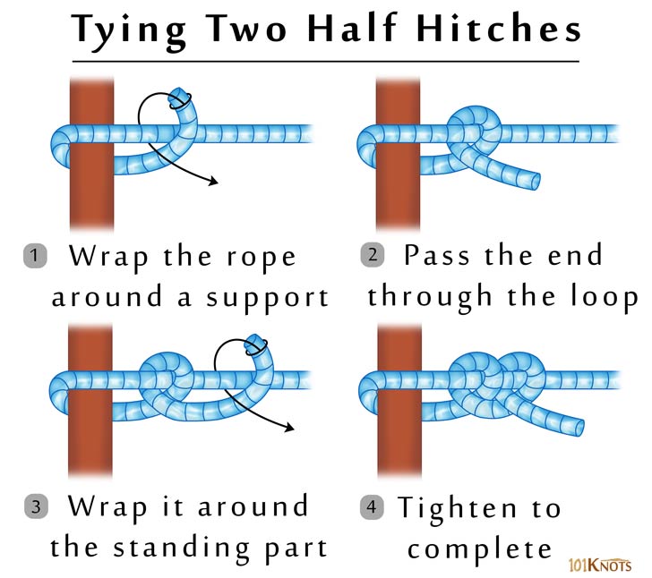 How to Tie Two Half Hitches? Variations, Uses & Video Instructions