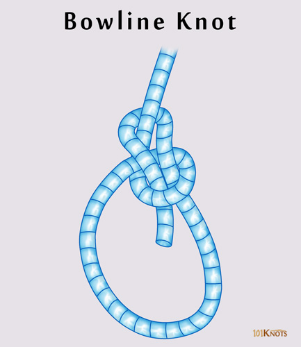 Bowline Knot 101knots