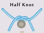 Half Knot