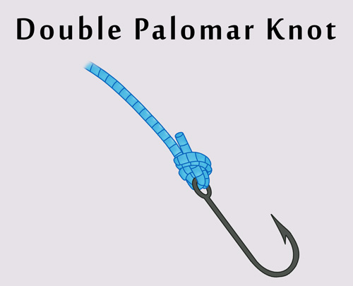 How to Tie a Double Palomar Knot? Video Instructions, Tips & Uses