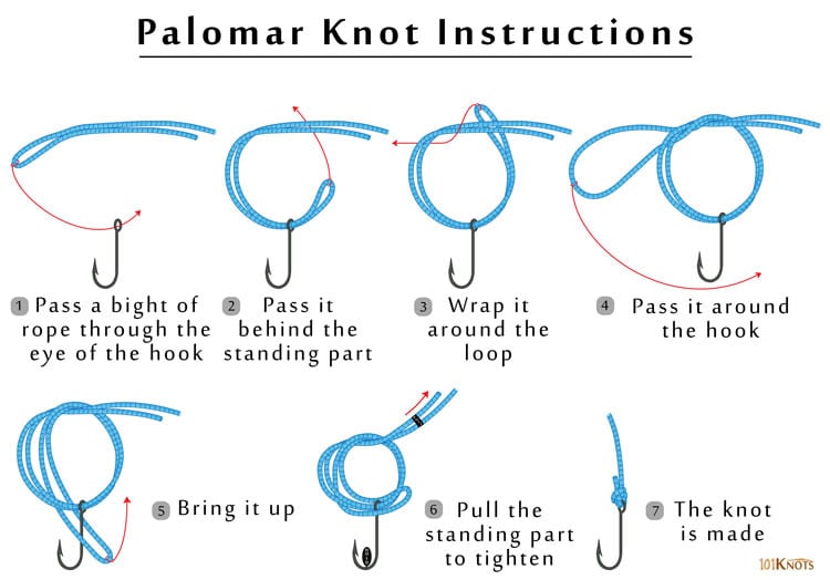 How to Tie a Palomar Knot? Variations, Uses, Tips & Video Guide