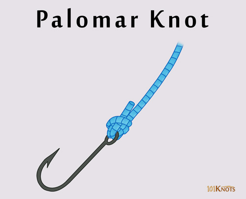 https://www.101knots.com/wp-content/uploads/2018/07/Palomar-Knot.jpg
