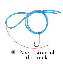 How to Tie a Palomar Knot? Variations, Uses, Tips & Video Guide