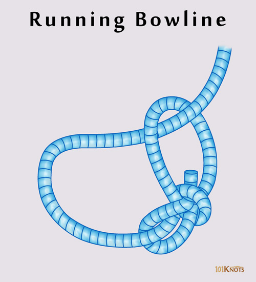 How to Tie a Running Bowline? Video Instructions, Uses & Tips