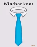 Windsor Knot