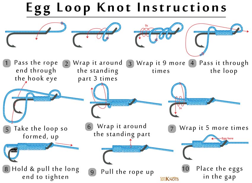 How to Tie an Egg Loop? Steps, Variations & Video Instructions