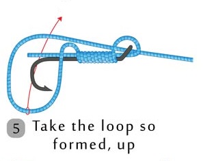 How to Tie an Egg Loop? Steps, Variations & Video Instructions