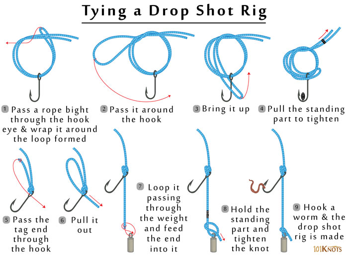 How to Tie a Drop Shot Rig? Tips, Steps, Uses & Video Instructions