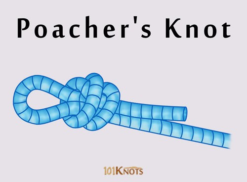 www.101knots.com