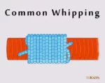 Common Whipping