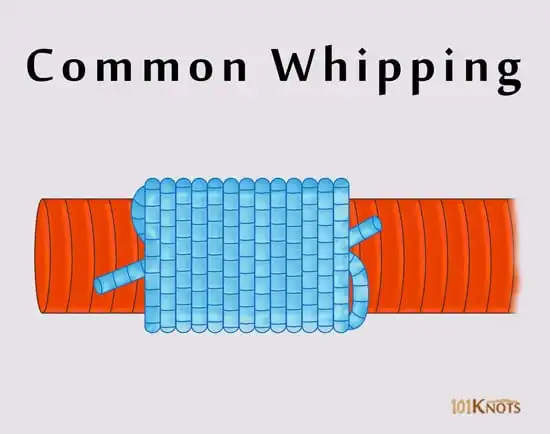 Common Whipping